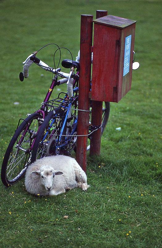 WT 2700 335-32 UK 1992-1.jpg